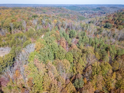 SOLD! TN Timber Land Wayne Co TN 255 Acres 2 CAVES! - image 15