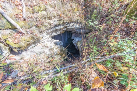 SOLD! TN Timber Land Wayne Co TN 255 Acres 2 CAVES! - image 5