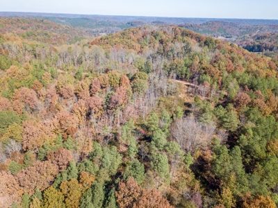 SOLD! TN Timber Land Wayne Co TN 255 Acres 2 CAVES! - image 16