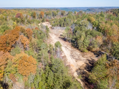 SOLD! TN Timber Land Wayne Co TN 255 Acres 2 CAVES! - image 9