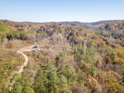 SOLD! TN Timber Land Wayne Co TN 255 Acres 2 CAVES! - image 17