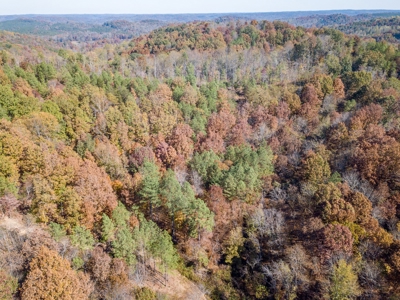 SOLD! TN Timber Land Wayne Co TN 255 Acres 2 CAVES! - image 7