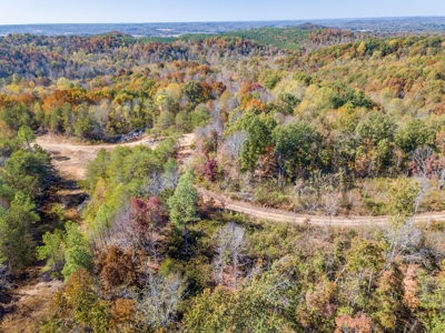 SOLD! TN Timber Land Wayne Co TN 255 Acres 2 CAVES! - image 14