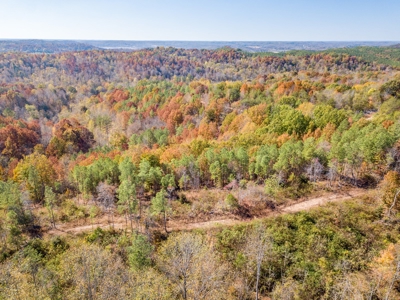 SOLD! TN Timber Land Wayne Co TN 255 Acres 2 CAVES! - image 22