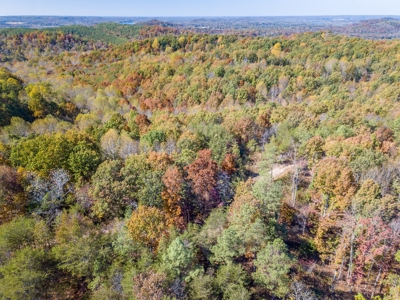SOLD! TN Timber Land Wayne Co TN 255 Acres 2 CAVES! - image 13