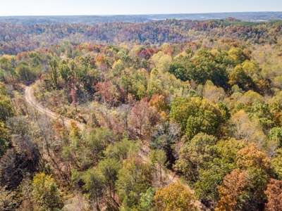 SOLD! TN Timber Land Wayne Co TN 255 Acres 2 CAVES! - image 12