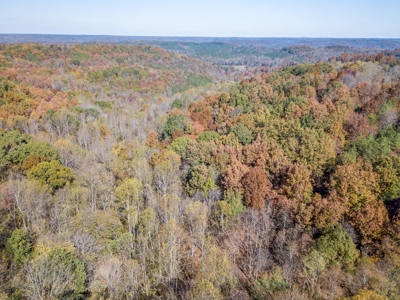 SOLD! TN Timber Land Wayne Co TN 255 Acres 2 CAVES! - image 20