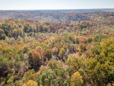 SOLD! TN Timber Land Wayne Co TN 255 Acres 2 CAVES! - image 10