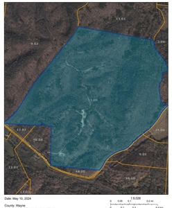 SOLD! TN Timber Land Wayne Co TN 255 Acres 2 CAVES! - image 25