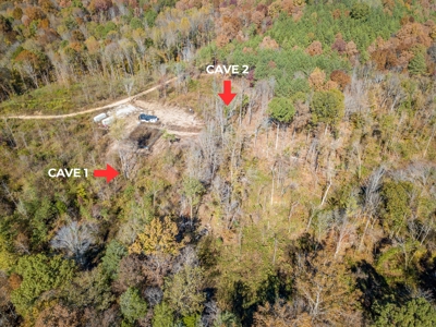SOLD! TN Timber Land Wayne Co TN 255 Acres 2 CAVES! - image 4