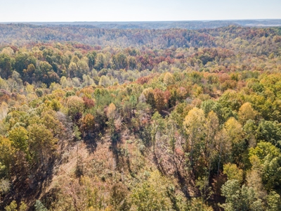 SOLD! TN Timber Land Wayne Co TN 255 Acres 2 CAVES! - image 11