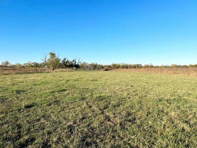 Vernon County Missouri Farm Crop Land For Sale, Nevada, MO - image 14