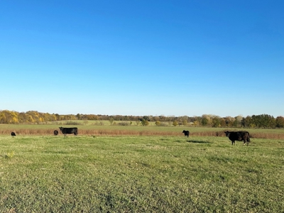Vernon County Missouri Farm Crop Land For Sale, Nevada, MO - image 15