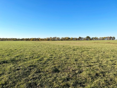 Vernon County Missouri Farm Crop Land For Sale, Nevada, MO - image 21