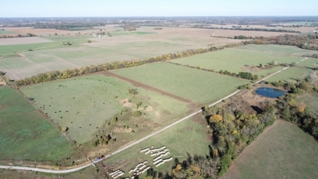 Vernon County Missouri Farm Crop Land For Sale, Nevada, MO - image 9