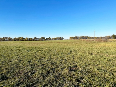 Vernon County Missouri Farm Crop Land For Sale, Nevada, MO - image 20
