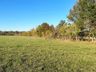 Vernon County Missouri Farm Crop Land For Sale, Nevada, MO - image 17