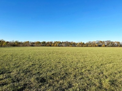 Vernon County Missouri Farm Crop Land For Sale, Nevada, MO - image 19