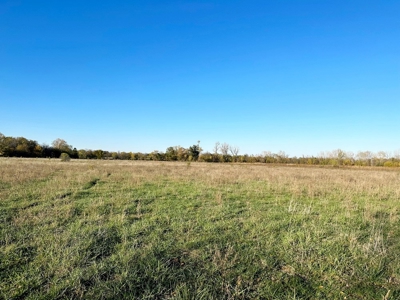 Vernon County Missouri Farm Crop Land For Sale, Nevada, MO - image 13