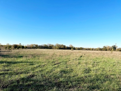 Vernon County Missouri Farm Crop Land For Sale, Nevada, MO - image 12