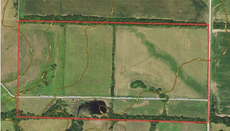 Vernon County Missouri Farm Crop Land For Sale, Nevada, MO - image 5