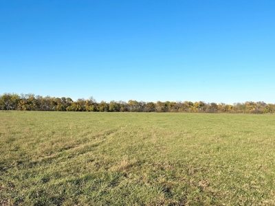 Vernon County Missouri Farm Crop Land For Sale, Nevada, MO - image 16