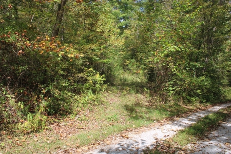 Accepted Offer in Monticello, Kentucky - image 6