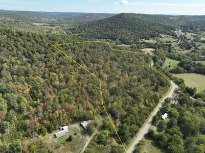 Accepted Offer in Monticello, Kentucky - image 3