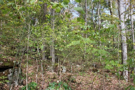 Accepted Offer in Monticello, Kentucky - image 13