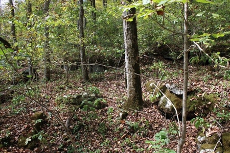 Accepted Offer in Monticello, Kentucky - image 12