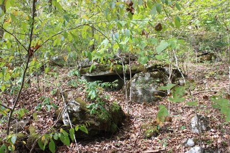 Accepted Offer in Monticello, Kentucky - image 11