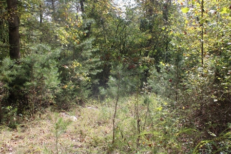 Accepted Offer in Monticello, Kentucky - image 8