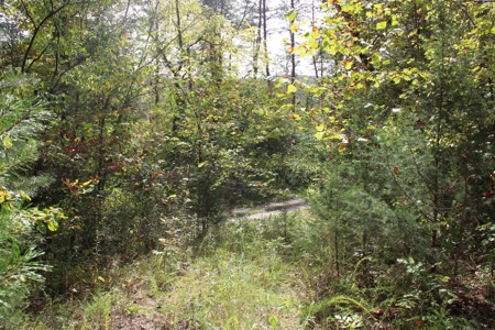 Accepted Offer in Monticello, Kentucky - image 9
