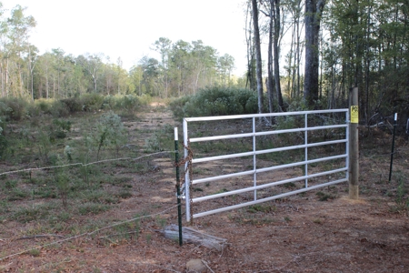 Waterfront Property For Sale Pike County Summit Mississippi - image 2