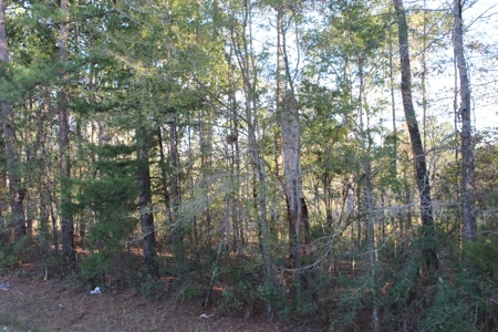 Waterfront Property For Sale Pike County Summit Mississippi - image 1