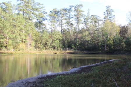 Waterfront Property For Sale Pike County Summit Mississippi - image 8