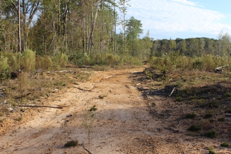 Waterfront Property For Sale Pike County Summit Mississippi - image 5