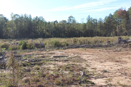 Waterfront Property For Sale Pike County Summit Mississippi - image 9