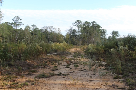 Waterfront Property For Sale Pike County Summit Mississippi - image 3