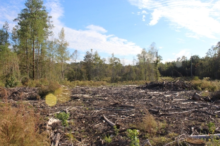 Waterfront Property For Sale Pike County Summit Mississippi - image 10