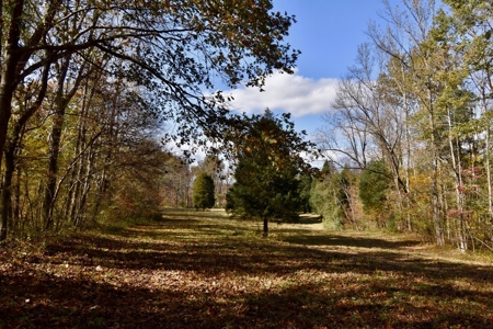 Paradise Bordering Hoosier National & Little Blue River - image 28