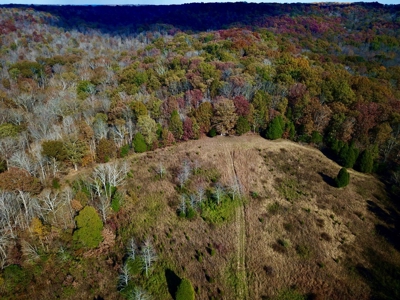 Paradise Bordering Hoosier National & Little Blue River - image 6
