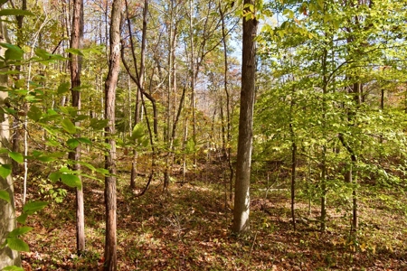 Paradise Bordering Hoosier National & Little Blue River - image 35