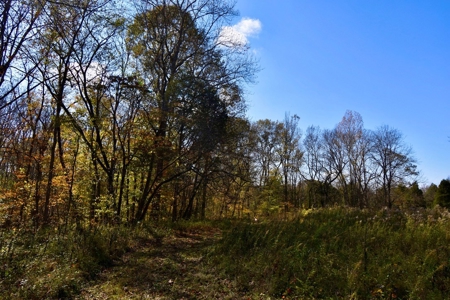Paradise Bordering Hoosier National & Little Blue River - image 44