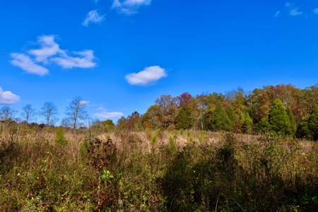 Paradise Bordering Hoosier National & Little Blue River - image 32