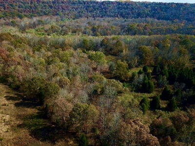 Paradise Bordering Hoosier National & Little Blue River - image 7