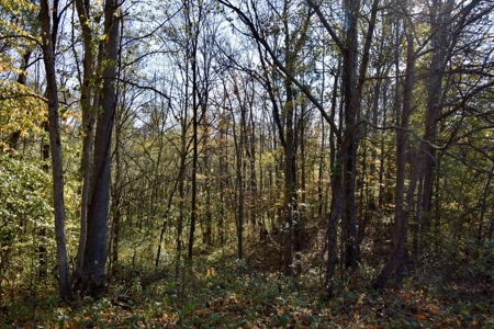 Paradise Bordering Hoosier National & Little Blue River - image 43