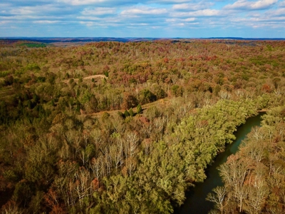 Paradise Bordering Hoosier National & Little Blue River - image 17