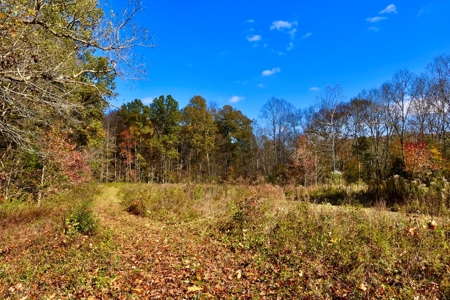 Paradise Bordering Hoosier National & Little Blue River - image 37