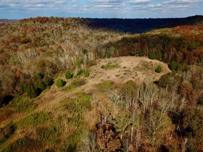 Paradise Bordering Hoosier National & Little Blue River - image 5